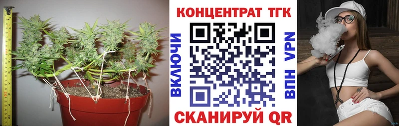 ТГК Wax  Купить закладки  Тулун 